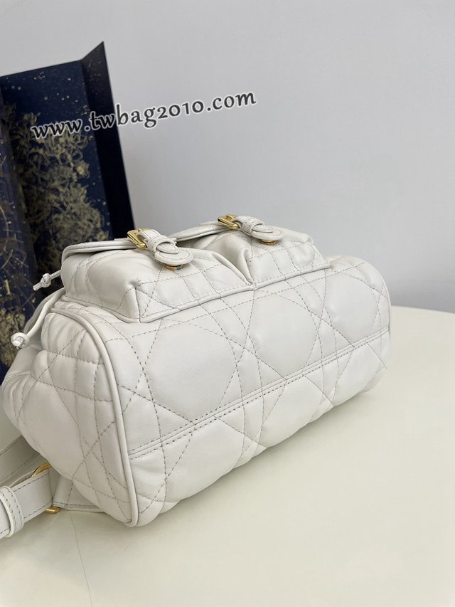Dior专柜新款迪奥高仿原单白色中号Caro秋冬系列双肩包 djfk1723